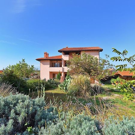 Ferienwohnung Fuer 4 Personen Ca 80 Qm In Bale, Istrien Istrische Riviera Dış mekan fotoğraf